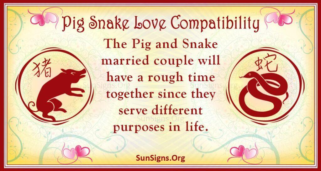 pig snake compatibility