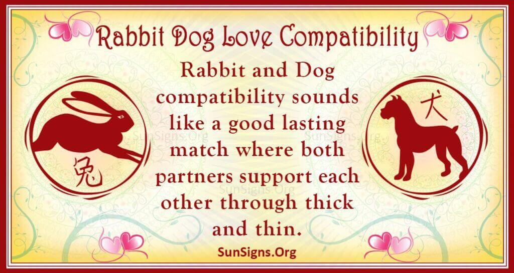 rabbit dog compatibility
