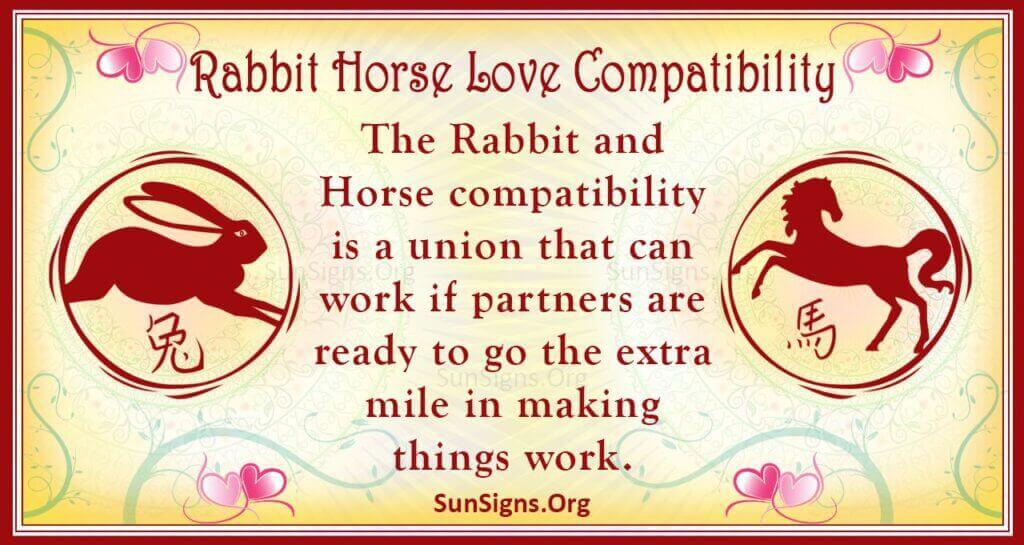 rabbit horse compatibility