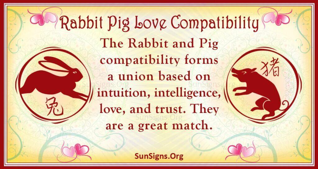 rabbit pig compatibility