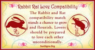 rabbit rat compatibility
