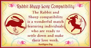 rabbit sheep compatibility