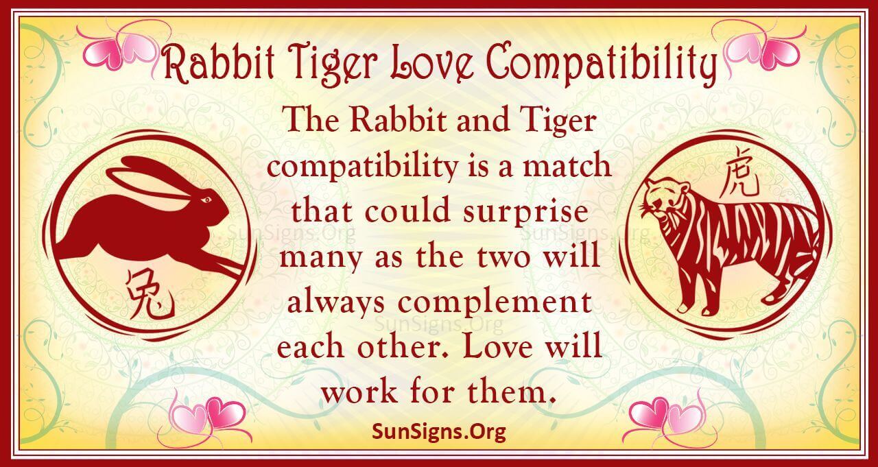 Rabbit And Tiger Compatibility Loyal And Resolute