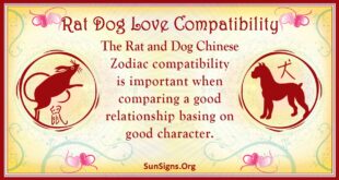 rat dog compatibility
