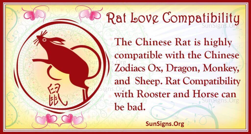 rat love compatibility