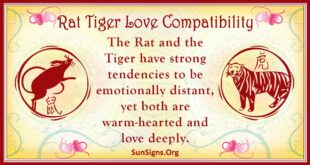 rat tiger compatibility