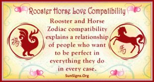 rooster horse compatibility