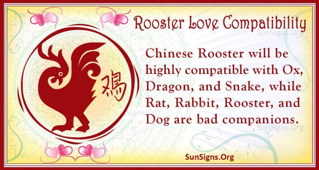 rooster love compatibility