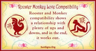rooster monkey compatibility