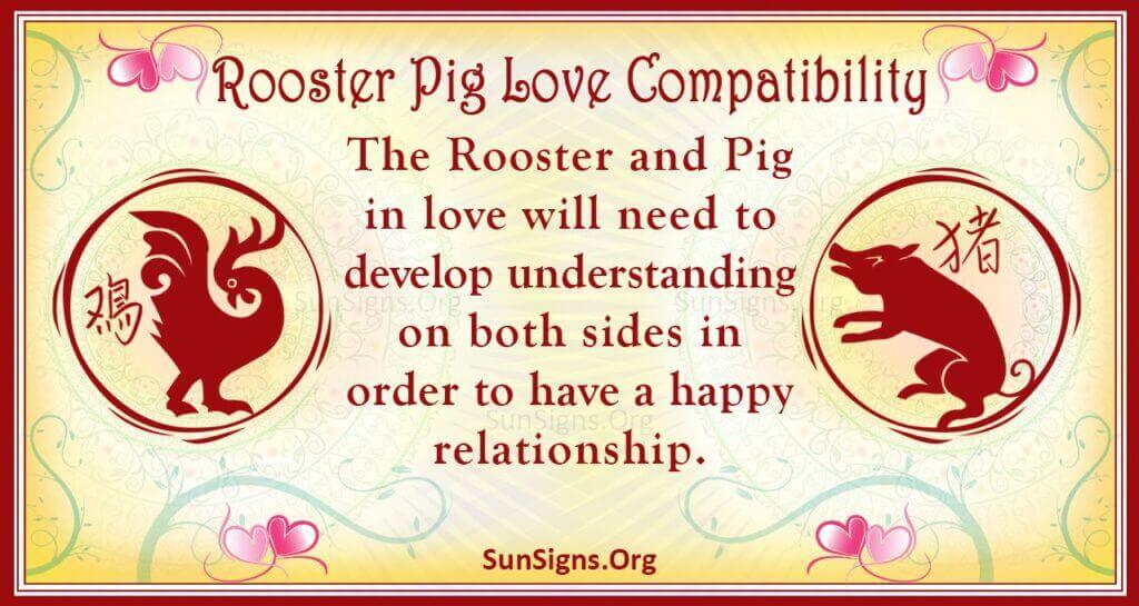 rooster pig compatibility