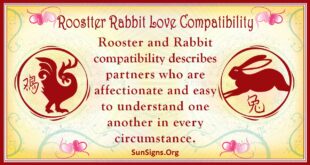 rooster rabbit compatibility