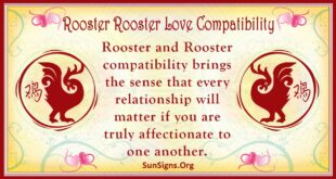 rooster rooster compatibility