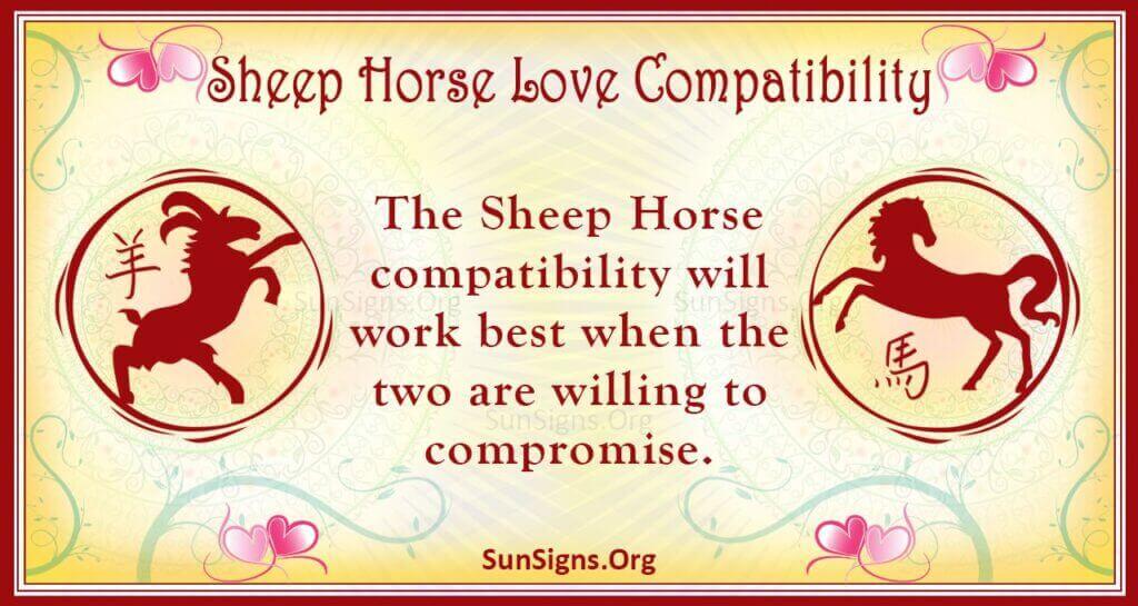 sheep horse compatibility