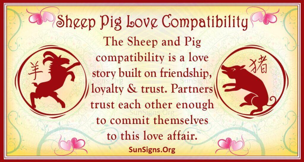 sheep pig compatibility