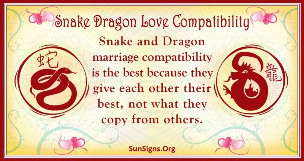 snake dragon compatibility