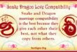snake dragon compatibility