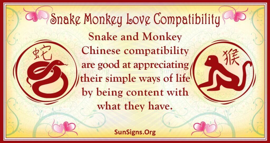 snake monkey compatibility