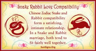 snake rabbit compatibility