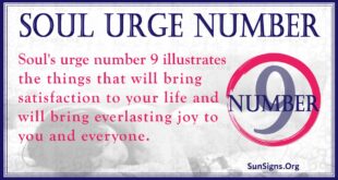 soul urge number 9