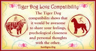 tiger dog compatibility