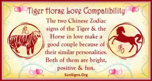 tiger horse compatibility