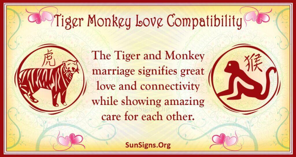 tiger monkey compatibility