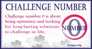 challenge number 0