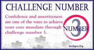 Challenge Number 3