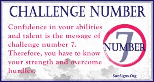 Challenge Number 7