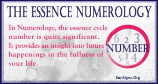 essence number