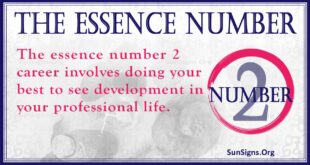 Essence Number 2