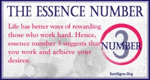 Essence Number 3