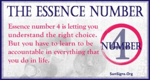 Essence Number 4