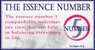 Essence Number 5