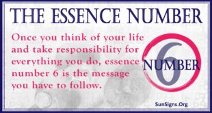 Essence Number 6