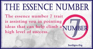 Essence Number 7
