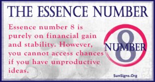 Essence Number 8