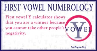 first vowel numerology y