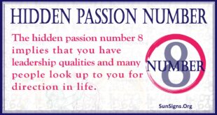 hidden passion number 8