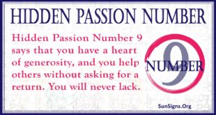 hidden passion number 9