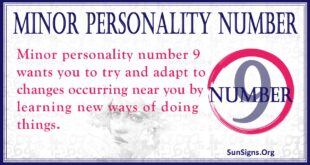 minor personality number 9