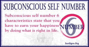 Subconscious Self Number 6