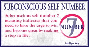 Subconscious Self Number 7