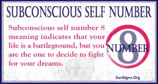 Subconscious Self Number 8