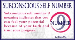 Subconscious Self Number 9