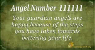 Angel Number 111111