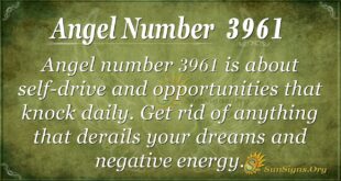 Angel Number 3961