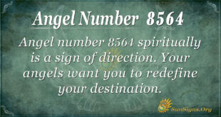 8564 angel number