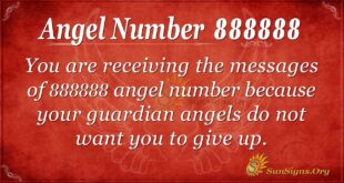 Angel Number 888888