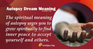 Autopsy Dream Meaning